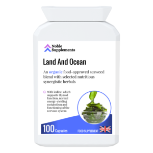 Land And Ocean
