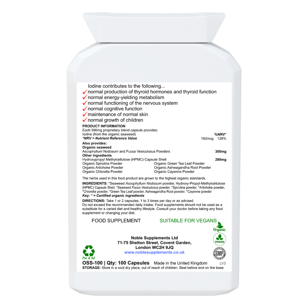 Land And Ocean - Image 2